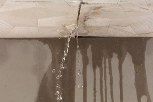 Professional Water Damage Repair technician working in Hyrum, UT